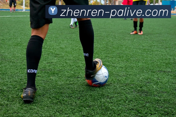 PA真人APP 封面图